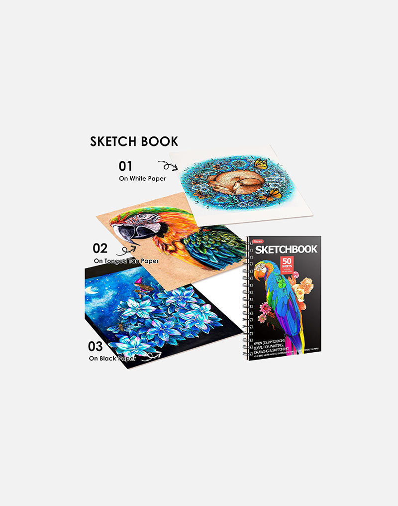 iBayam 123-Pack Colored Pencils Set with Gift Case